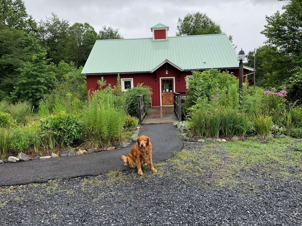 Cool Spring Nature Preserve | 1469 Lloyd Rd, Charles Town, WV 25414, USA | Phone: (681) 252-1387