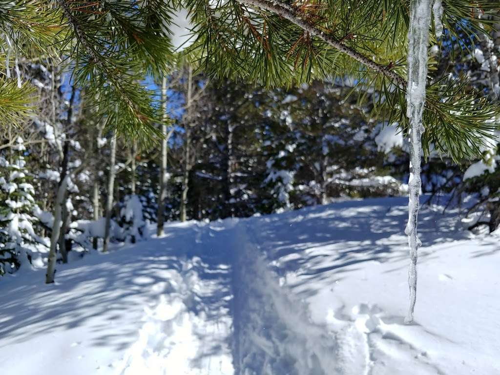 Sourdough Trail | Sourdough Trail, Nederland, CO 80466, USA