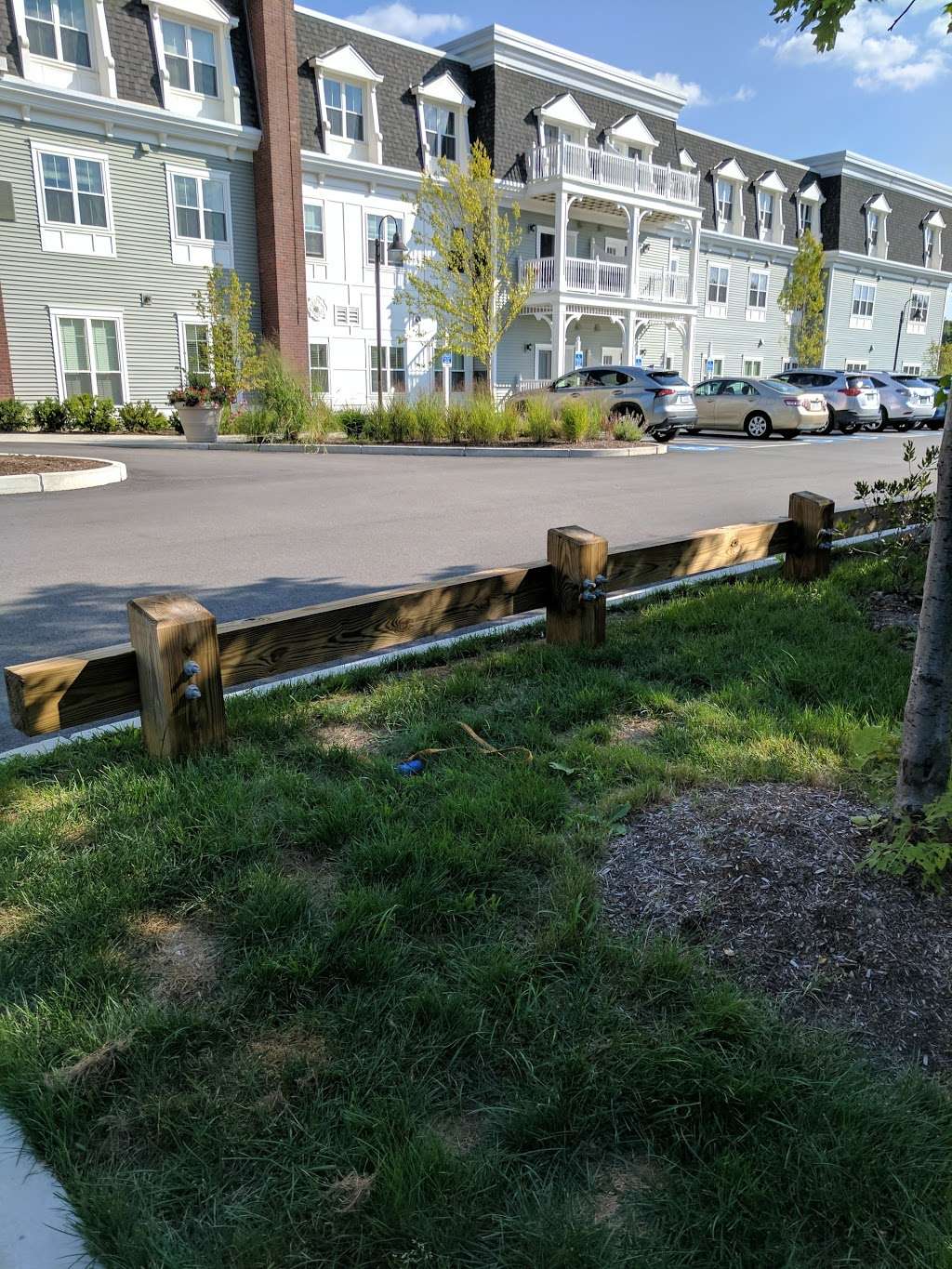 Brightview Canton | 125 Turnpike St, Canton, MA 02021, USA | Phone: (781) 262-3818