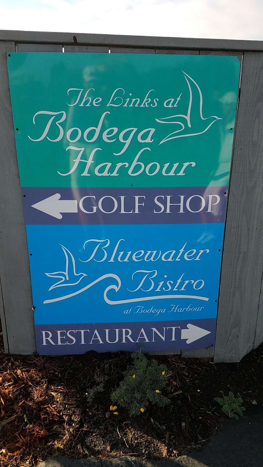 Bodega Bay Golf Links | 21301 Heron Dr, Bodega Bay, CA 94923, USA | Phone: (707) 875-3538