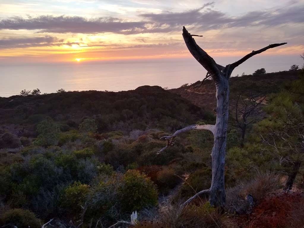 Guy Fleming Trail Trailhead | Guy Fleming Trail, La Jolla, CA 92037, USA