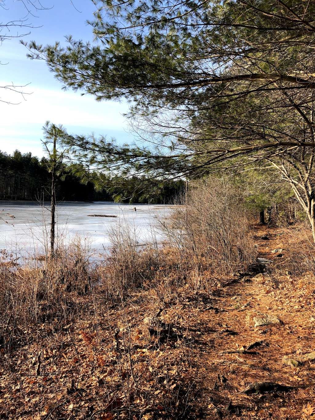 Beaver Brook Association Old City Trailhead | 70-198 Rocky Pond Rd, Hollis, NH 03049