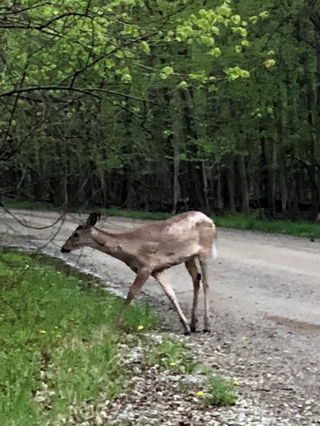 Grosse Ile Wildlife Sanctuary | Thorofare Rd, Grosse Ile Township, MI 48138 | Phone: (734) 676-4422