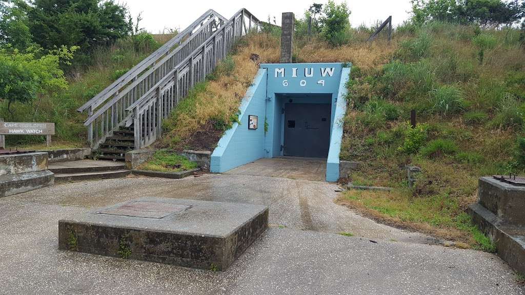 Bird Watching Station | Lewes, DE 19958