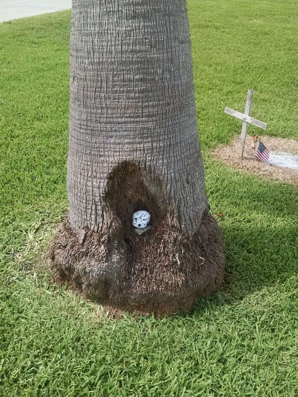 San Leon Cemetery | 122 22nd St, San Leon, TX 77539, USA