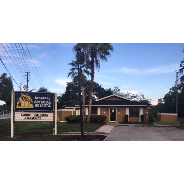 Broadway Animal Hospital | 886 Chapel St, Oviedo, FL 32765, USA | Phone: (407) 365-7297