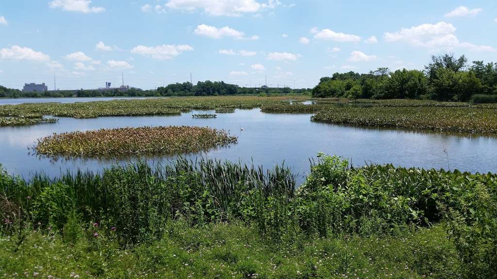 John Heinz National Wildlife Refuge at Tinicum | 8601 Lindbergh Blvd, Philadelphia, PA 19153, USA | Phone: (215) 365-3118