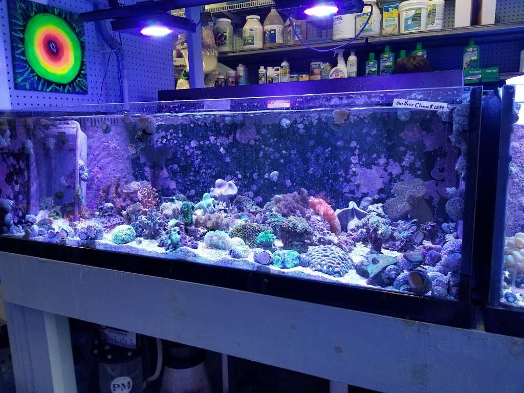 Sea Creature Aquarium | 1455 Mineral Spring Ave, North Providence, RI 02904, USA | Phone: (401) 354-6477