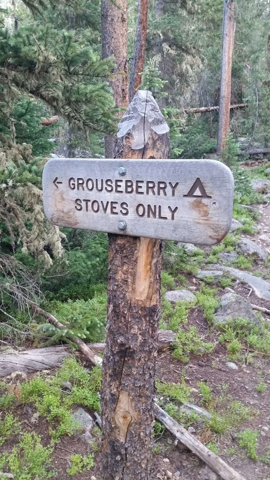 Grouseberry Campsite | Grand Lake, CO 80447, USA