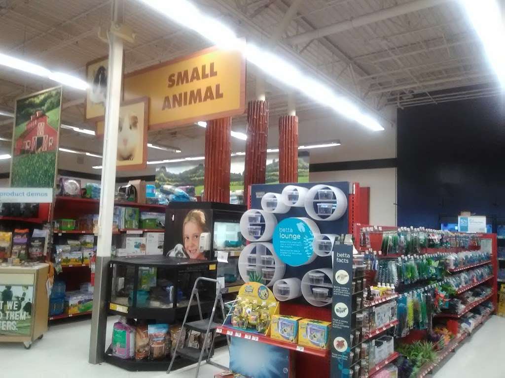 petco on 1960 and veterans memorial