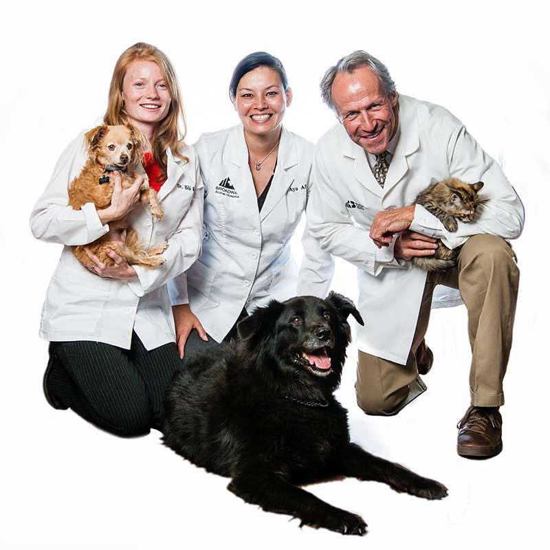 Broadway Animal Hospital & Pet Center | 1405 S Broadway, Boulder, CO 80305, USA | Phone: (303) 499-5505