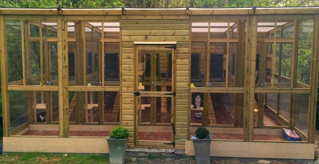 Wareside Cattery | Wareside Lodge, Wareside SG12 7RB, UK | Phone: 01920 465623