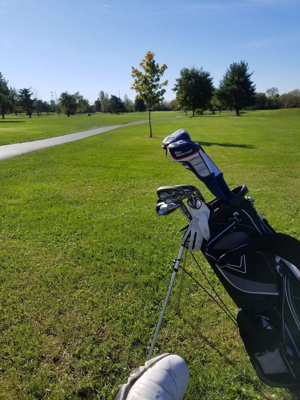 Sahm Golf Course | 6801 E 91st St, Indianapolis, IN 46250, USA | Phone: (317) 842-3848