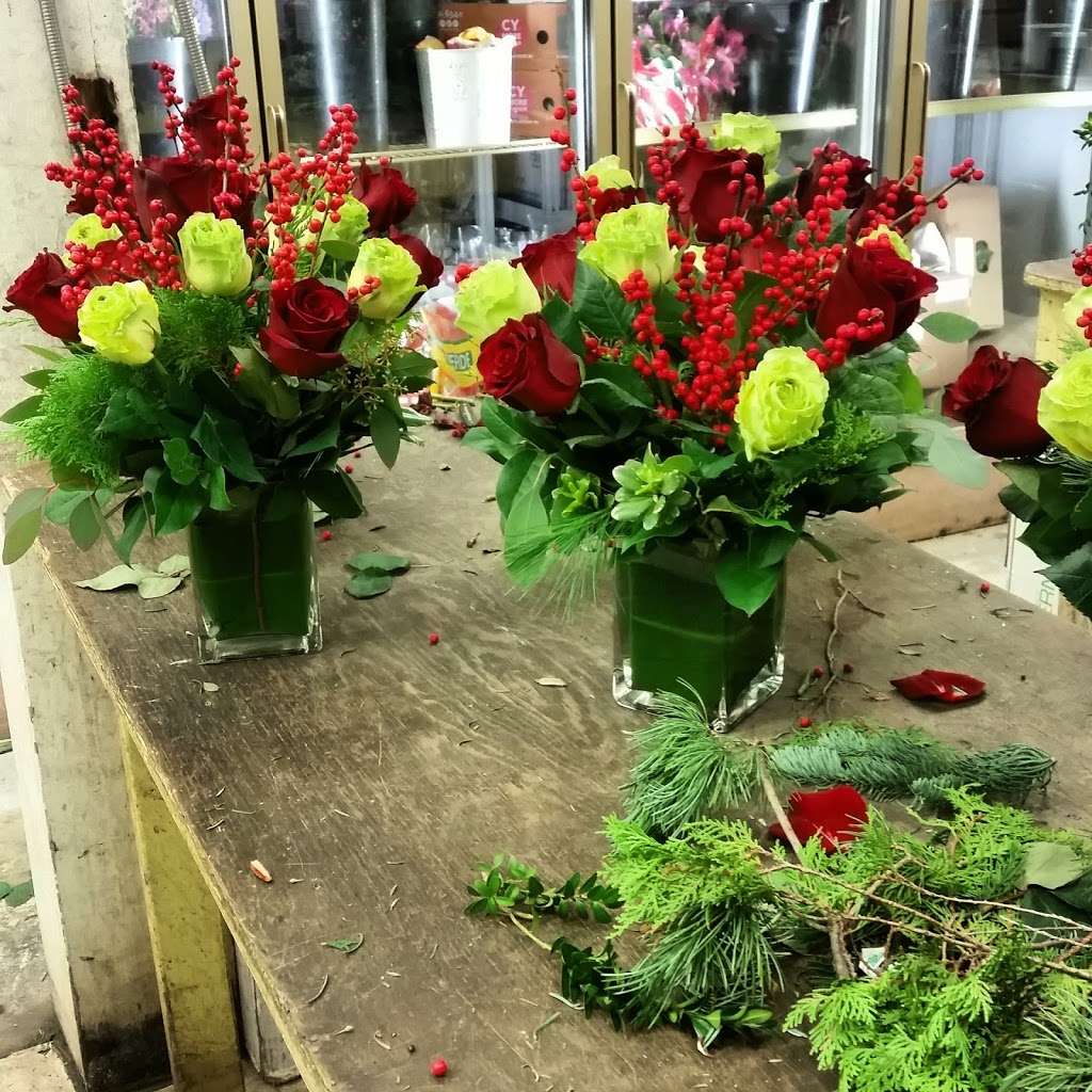 Exotic Flowers | 609 American Legion Hwy, Boston, MA 02131, USA | Phone: (617) 942-4803