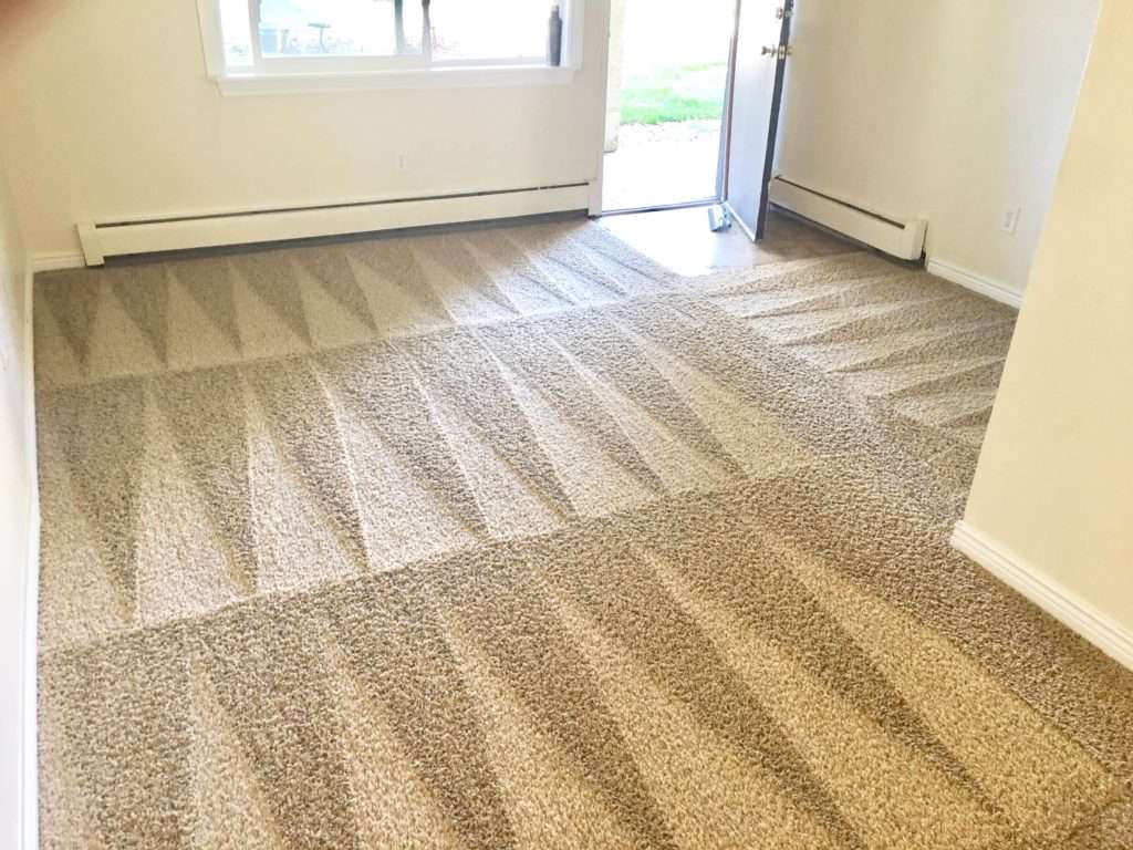 Deluxe Carpet Cleaning | 18912 Tomato St #102, Spring, TX 77379 | Phone: (281) 973-6193