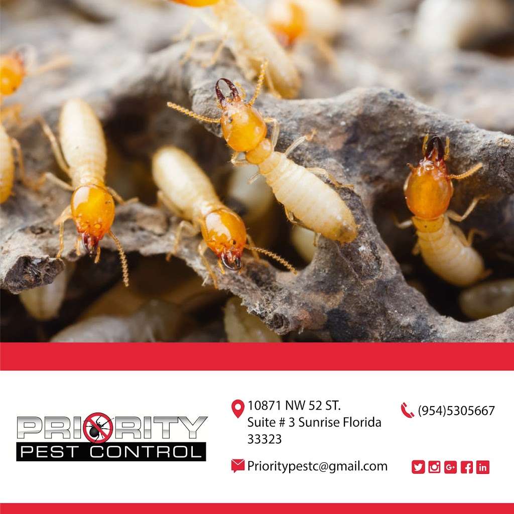 Priority Pest Control | 10871 NW 52nd St Suite 3, Sunrise, FL 33323 | Phone: (954) 530-5667