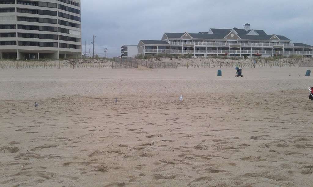 Surfside 84 | 4 84th St #23, Ocean City, MD 21842, USA