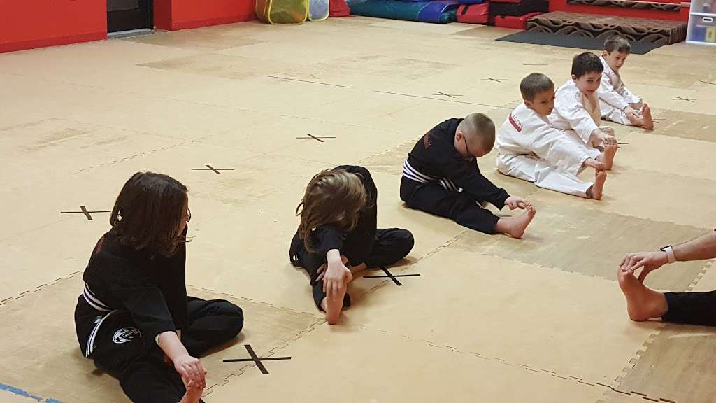 Red Dragon Martial Arts Academy | 184 W Main St, Norton, MA 02766, USA | Phone: (508) 285-9818