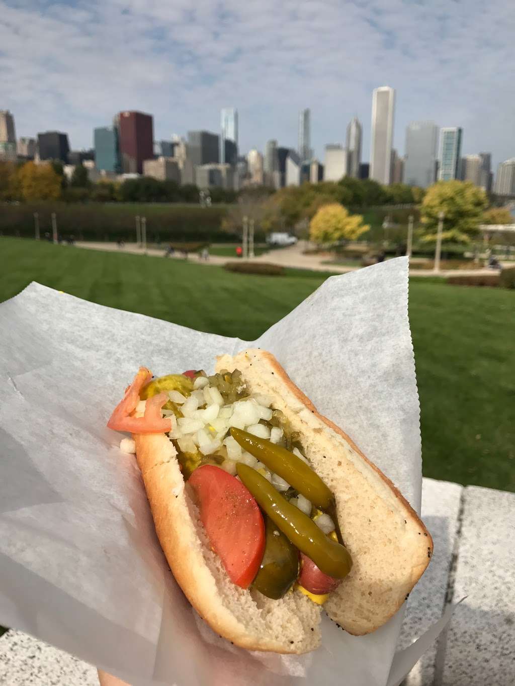 Kim and Carlos Hotdog Cart | 499 E McFetridge Dr, Chicago, IL 60605