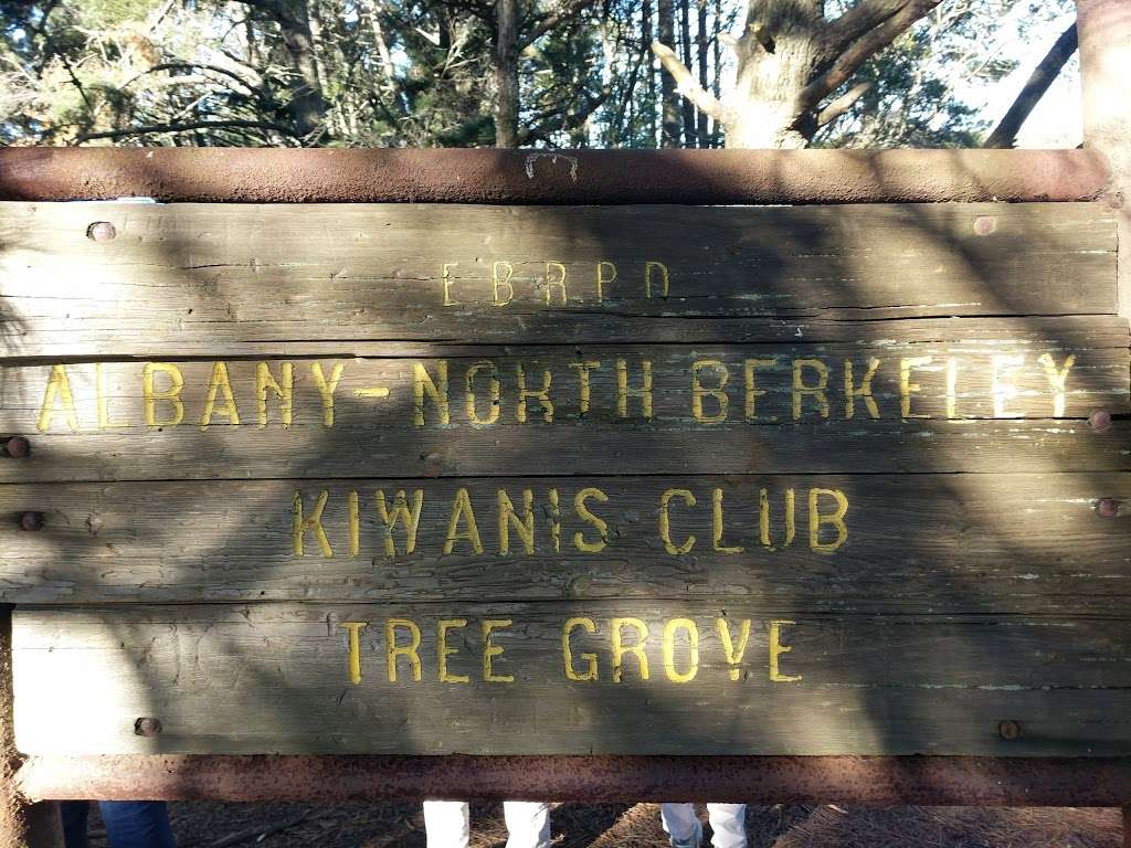 Albany North Berkeley Kiwanis Club Tree Grove | Nimitz Way, Berkeley, CA 94708