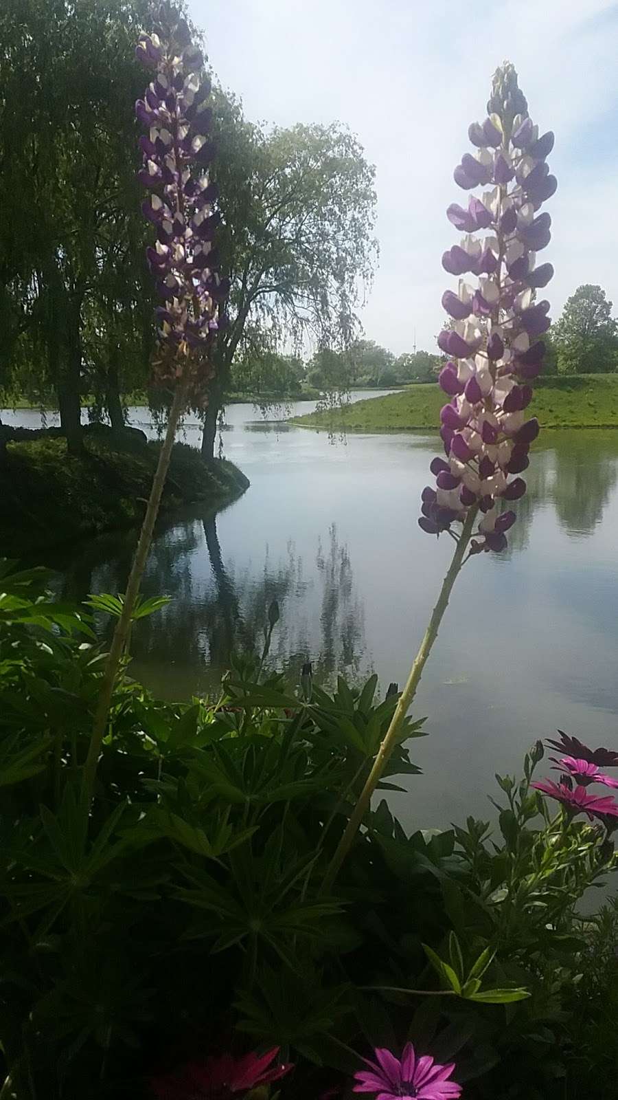 The Garden Shop at Chicago Botanic Garden | 1000 Lake Cook Rd, Glencoe, IL 60022 | Phone: (847) 835-8336