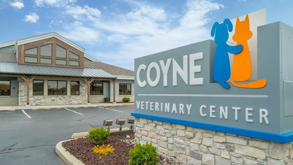 Coyne Veterinary Center | 3411 Airport Rd, Portage, IN 46368, USA | Phone: (219) 763-3311