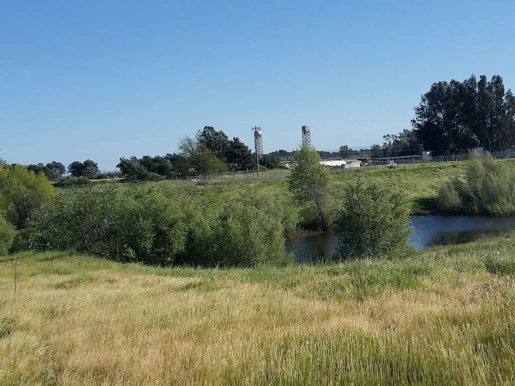 Rio Vista Business Park Storm Basin | Poppy House Rd, Rio Vista, CA 94571, USA