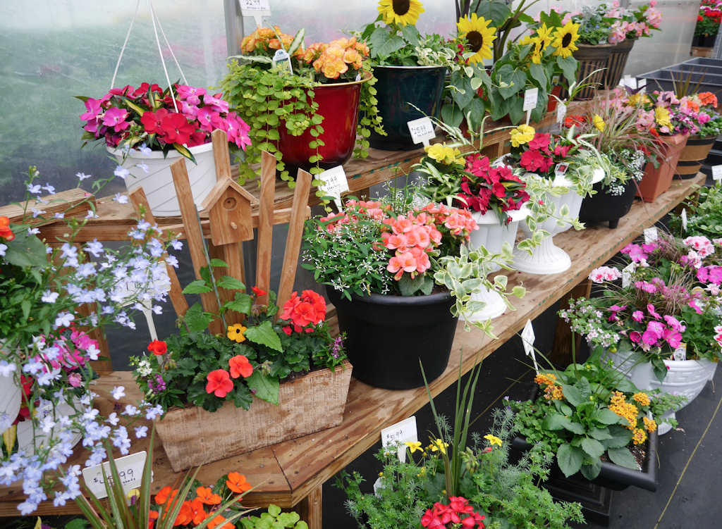 Serenity Ridge Greenhouse | 160 Bethany Rd, Ephrata, PA 17522 | Phone: (717) 859-6594