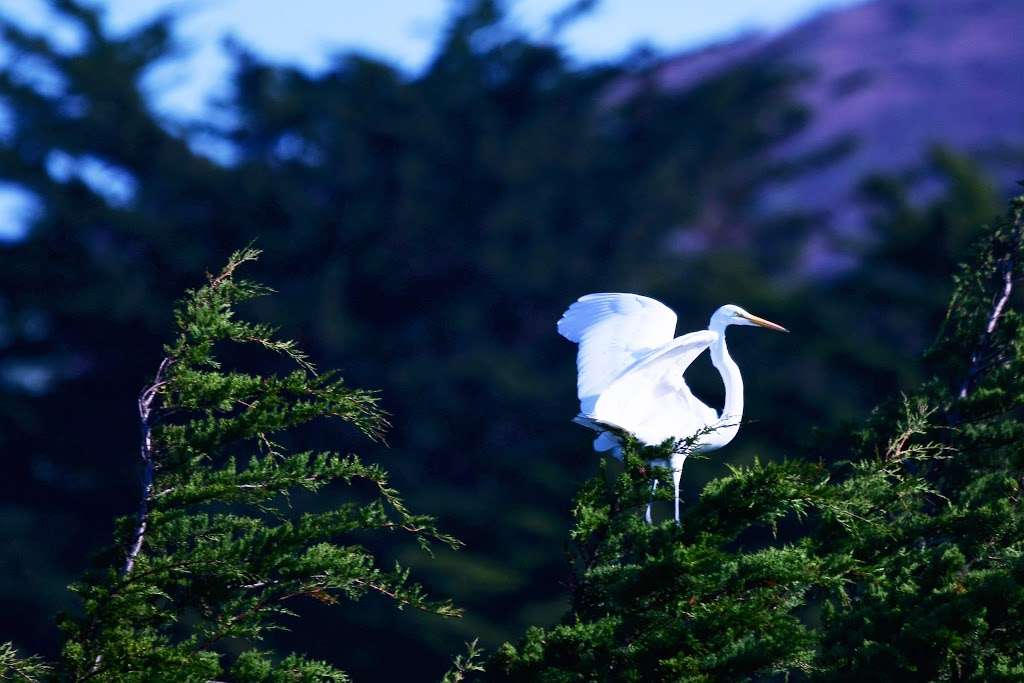 Birdwalk Coastal Access Trail | 355 CA-1, Bodega Bay, CA 94923 | Phone: (707) 875-3540