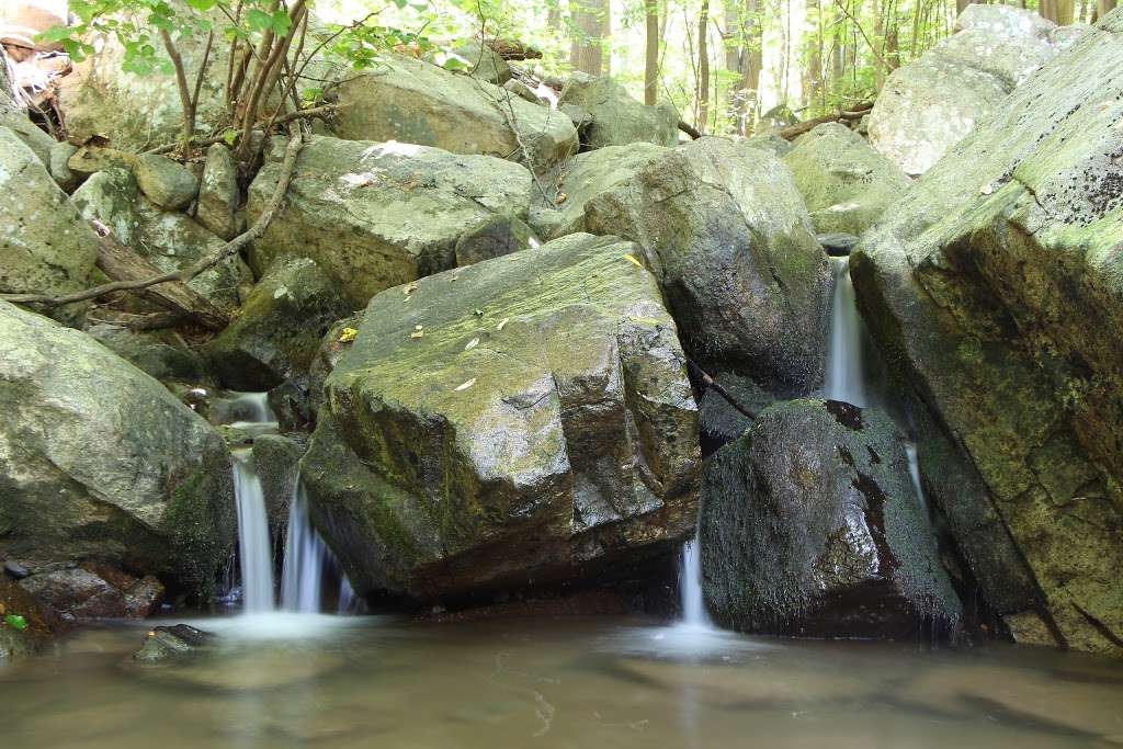 Musconetcong Gorge Nature Preserve | 182 Dennis Rd, Bloomsbury, NJ 08804, USA