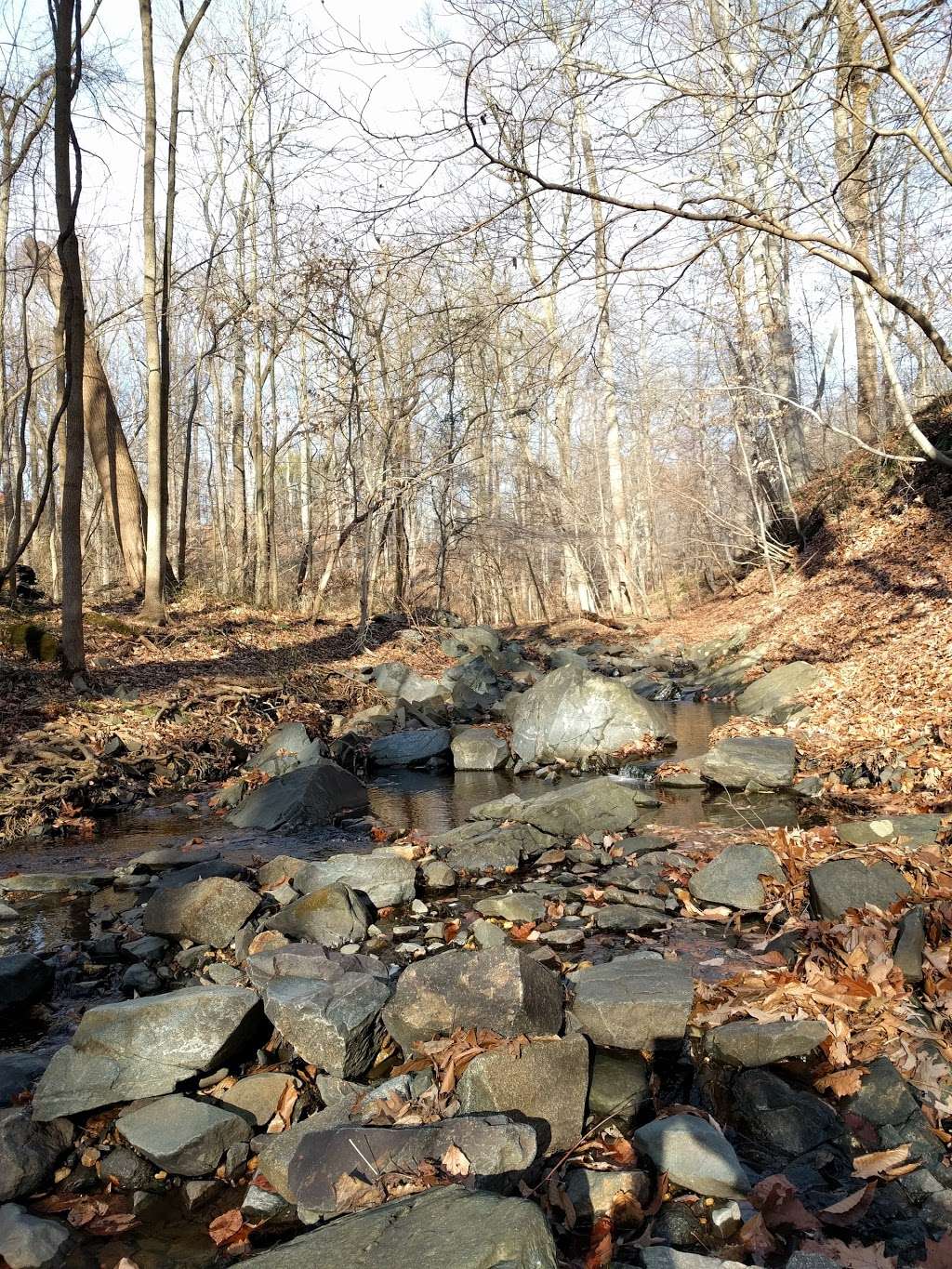 Patapsco State Park, Soapstone Trail start | 1288 S Rolling Rd, Halethorpe, MD 21227