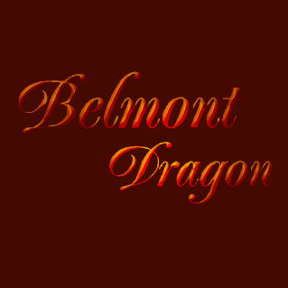 Belmont Dragon Chinese Restaurant | 301 Belmont Ave, Haledon, NJ 07508, USA | Phone: (973) 790-0333