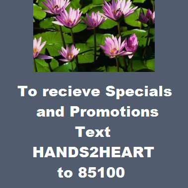 Hands 2 Heart | 14 Theodore Ln, Norwalk, CT 06851, USA | Phone: (203) 849-9269