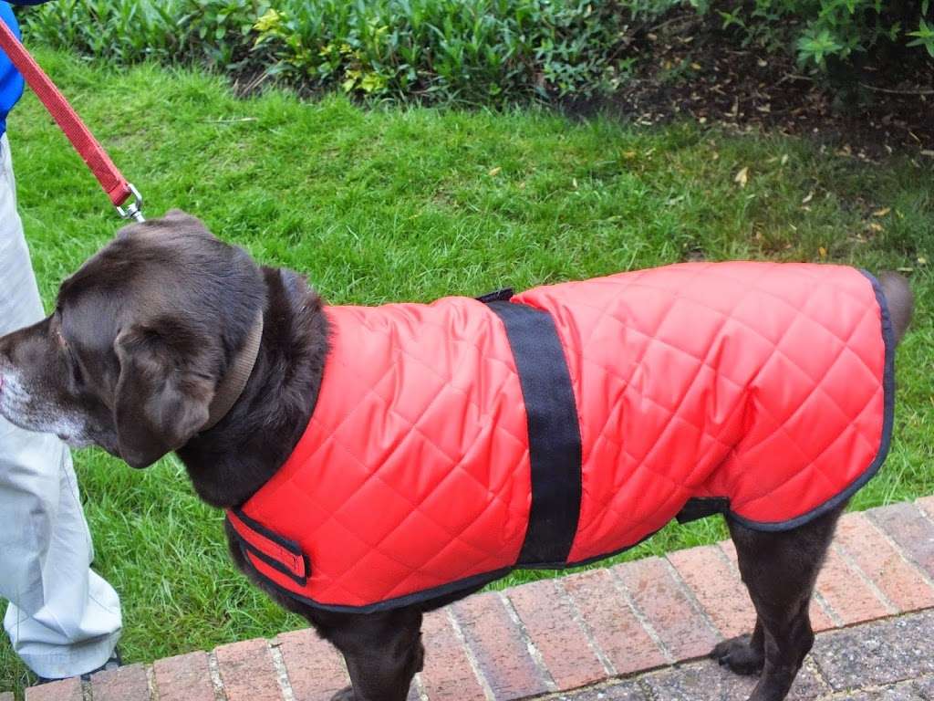 Maddies Dog Coats made to measure | 6 The Firle, Langdon Hills, Basildon SS16 6NB, UK | Phone: 07951 689841