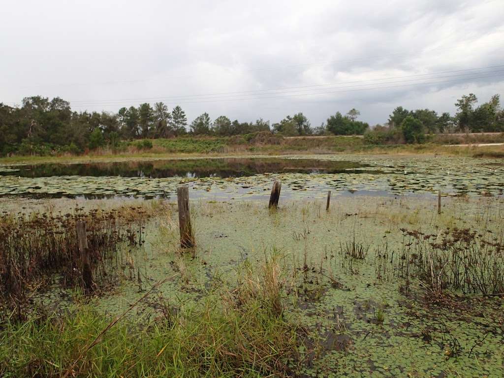 Blue springs hike trail | 385 Magnolia Ave, Orange City, FL 32763, USA