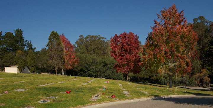 Oakwood Chapel | 3301 Paul Sweet Rd, Santa Cruz, CA 95065, USA | Phone: (831) 475-2464