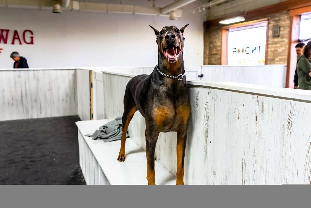 Indys Indoor Bark Park | 5601 E 82nd St, Indianapolis, IN 46250, USA | Phone: (317) 570-1124