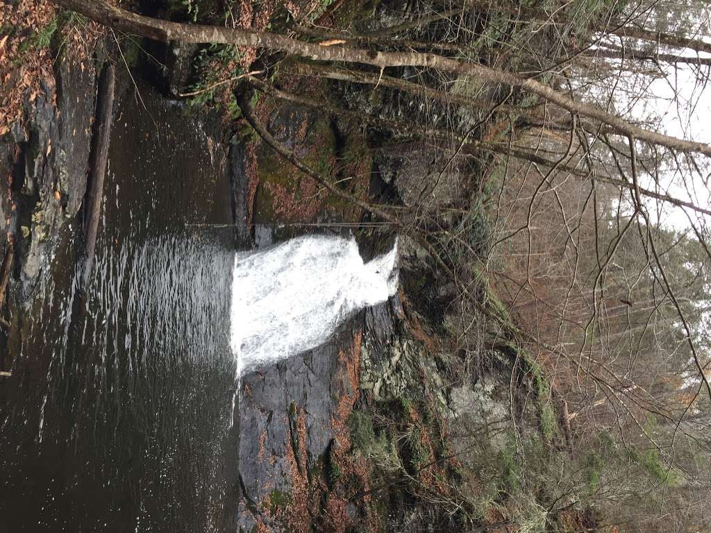 Hornbecks Trail | Hornbecks Creek, 18328, Dingmans Ferry, PA 18328, USA