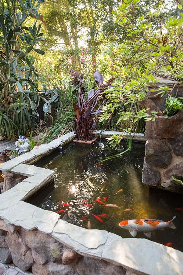 Promises Malibu | 20723 Rockcroft Dr, Malibu, CA 90265, USA | Phone: (310) 695-1708