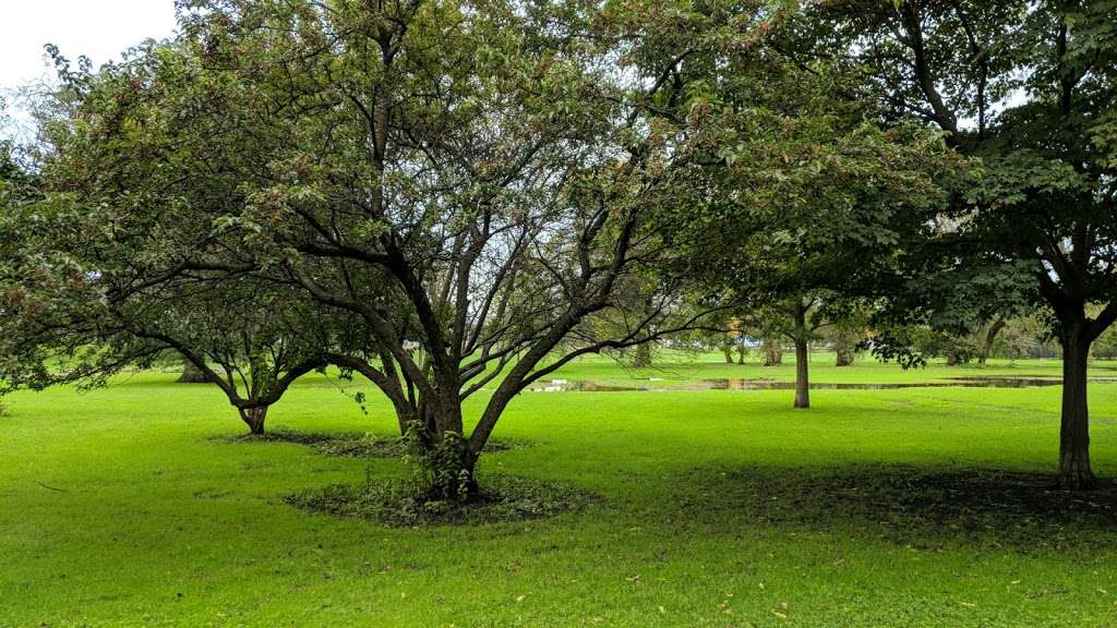 Picnic Grove | Chicago, IL 60657, USA