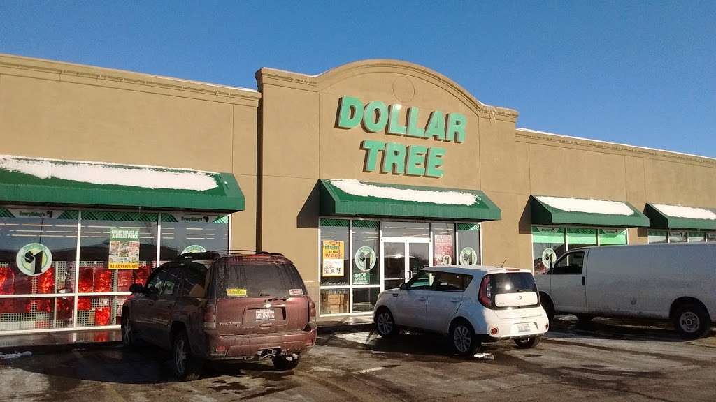 Dollar Tree | 1620 W Reynolds St, Pontiac, IL 61764, USA | Phone: (815) 867-4060