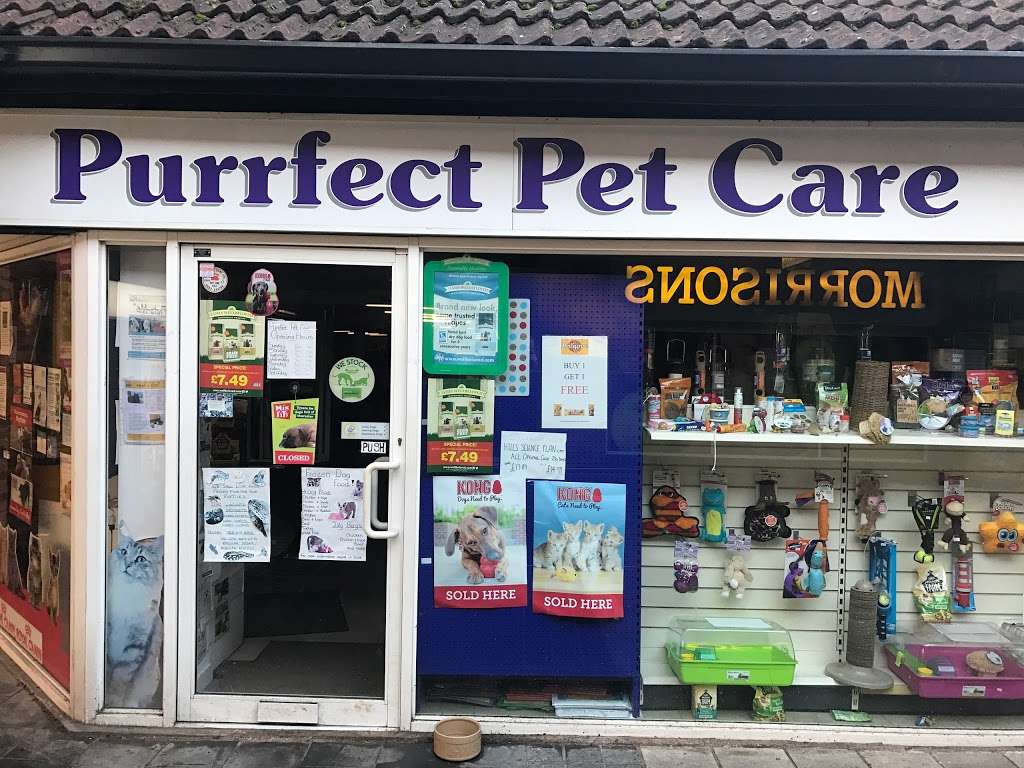 Purrfect Pet Care | 26 Church Walk, Caterham CR3 6RT, UK | Phone: 01883 819753