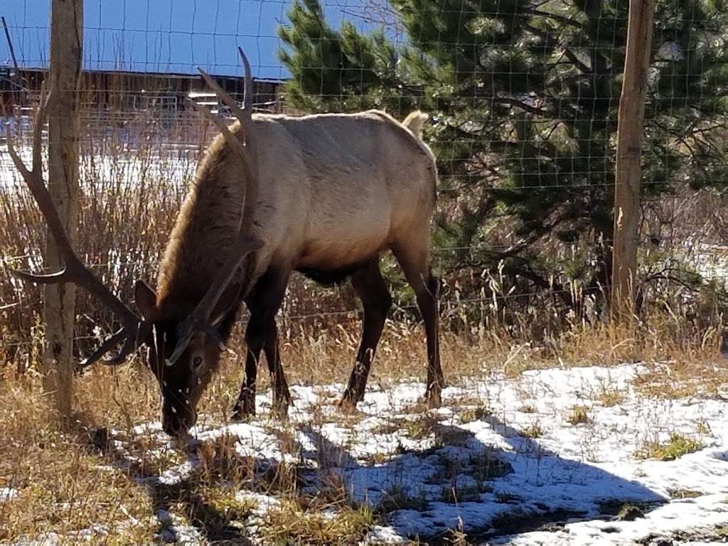 Elkhorn Stables | 6120 CO-7, Estes Park, CO 80517, United States | Phone: (970) 231-2998