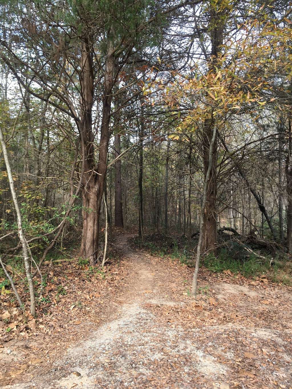 Sherman Branch Mountain Biking Park | 12435 Rocky River Church Rd, Charlotte, NC 28215