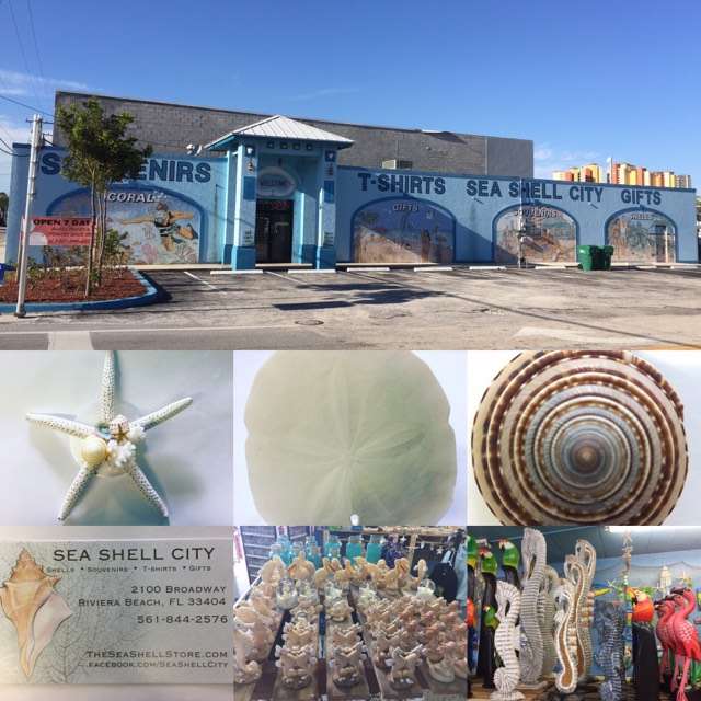 Sea Shell City | 2100 Broadway Ave, Riviera Beach, FL 33404, USA | Phone: (561) 844-2576