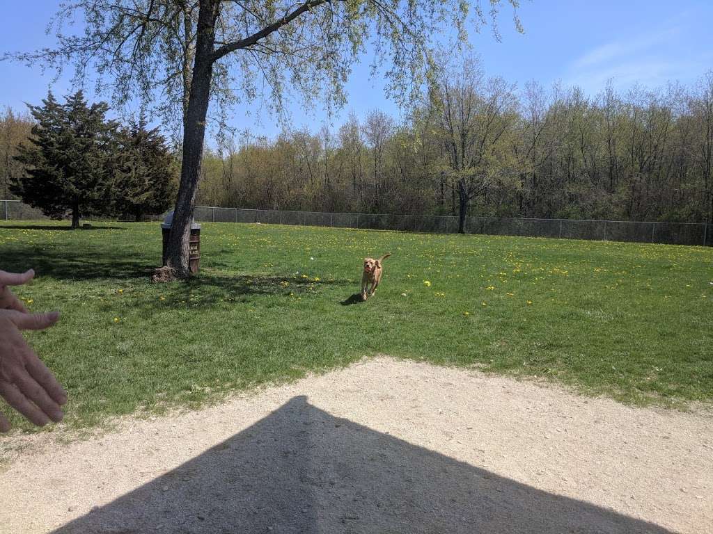 Hound Town Dog Park | Crystal Lake, IL 60014, USA | Phone: (815) 459-0680