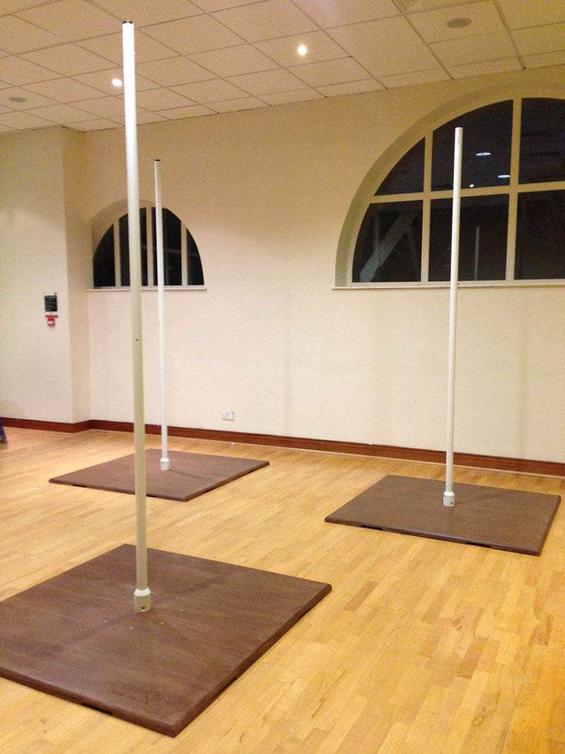 The Pole Studio | The David Lloyd Leisure Club, Central Boiler House, Epsom KT19 8PL, UK | Phone: 01372 747224