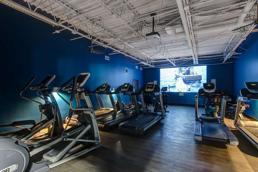 Onelife Fitness - Alexandria Gym | 305 Hooffs Run Dr, Alexandria, VA 22314 | Phone: (571) 317-1600