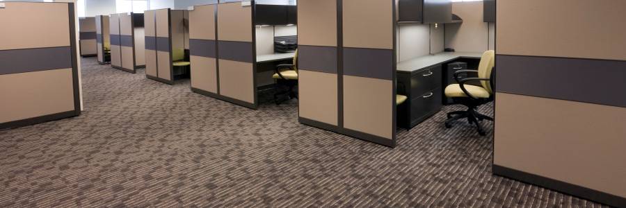 Standard Carpet Cleaning | 1001 33rd St SW, Birmingham, AL 35221, USA | Phone: (205) 356-0148