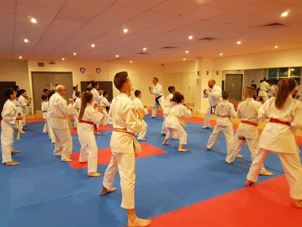 Docklands Shoujin Karate Club | East London gymnastics centre, 1 Triumph Rd, London E6 5LW, UK | Phone: 07864 869386